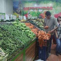 Richtig dicke Karotten