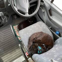 Babies sleeping and hiding from the cold