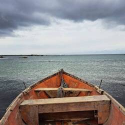 Elise - love these! Thanks