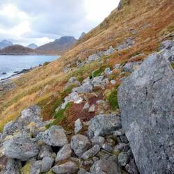 Das ist der Weg... wenn man ihn denn erkennen kann 😅