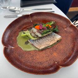 Mackerel from Brittany