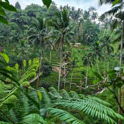 Der Ausblick war einfach ein Traum 😍