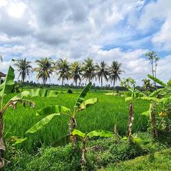 wahre Schönheit ❤️