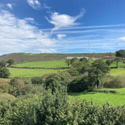 View from our bedroom window