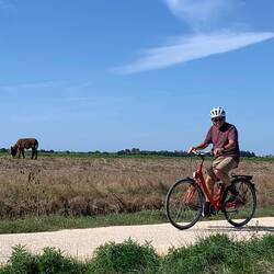 Biking near Rochefort