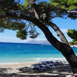 Die Farben sind echt.