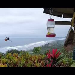 Ausblick von Galbans Terrasse