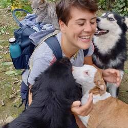 Mein Traum 🐕🧡🐈