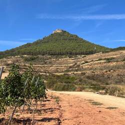 Monestario on top of Mount Monjardin