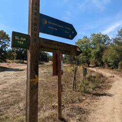 At 2:00, in the heat of the day 🤪