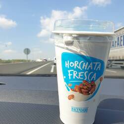 Für Lisa gibts auf der Fahrt das beste Milchgetränk (laut Alexander nicht objektiv). Horchata.