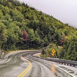 Along the Road to North Conway - very wet but autumn colours are coming along.