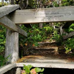 Jagut... dann wollen wir hier mal nicht stören 🤓☝🏻🍃