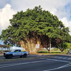 Einfach mal am Straßenrand...
