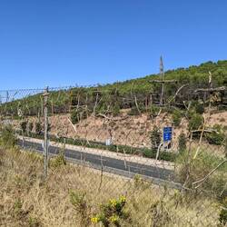 Droga z krzyżami po około 1 kilometrze