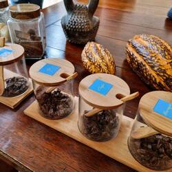 Schokoladenverkostung 😋