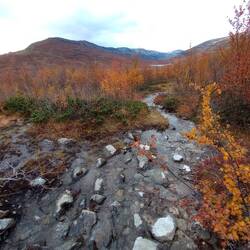 Das ist zwischenzeitlich mein "Weg" (oder besser gesagt "Bach") gewesen und das war noch der Gute 🙈