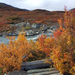 Hier war Mal eine Brücke 🙈