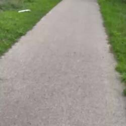 Evidence of our cycling