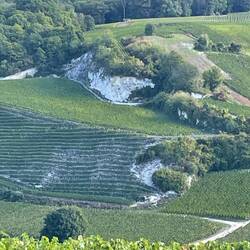 The chalk is so important to the champagne production