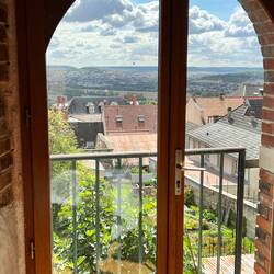 View from the tasting room at Fernand Lemaire