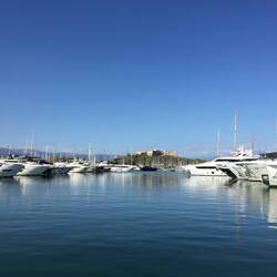 Pete's pic - Valet parking only