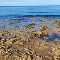 Erster Blick heute Morgen aus dem Fenster