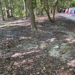 Markers with string of the grave sites