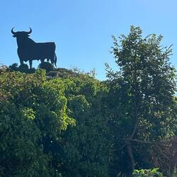 Toro! Crowns the top of a hill outside Navarette