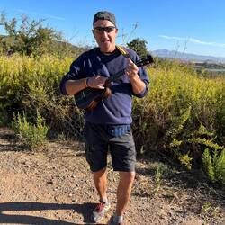 The strolling minstrel