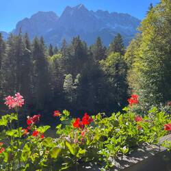 Blick vom Balkon