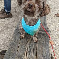 Ständig dieses Fotografieren😉