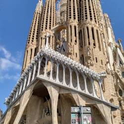 Unten angespannte Muskeln und Sehnen, oben ein Gerippe - die Passionsfassade