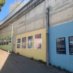 Chagall's circus & other fun prints on the stairs to the Museum
