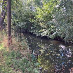Das ist die Saale in Elze. Sie wird auf ihren Lauf Richtung Osten noch etwas größer