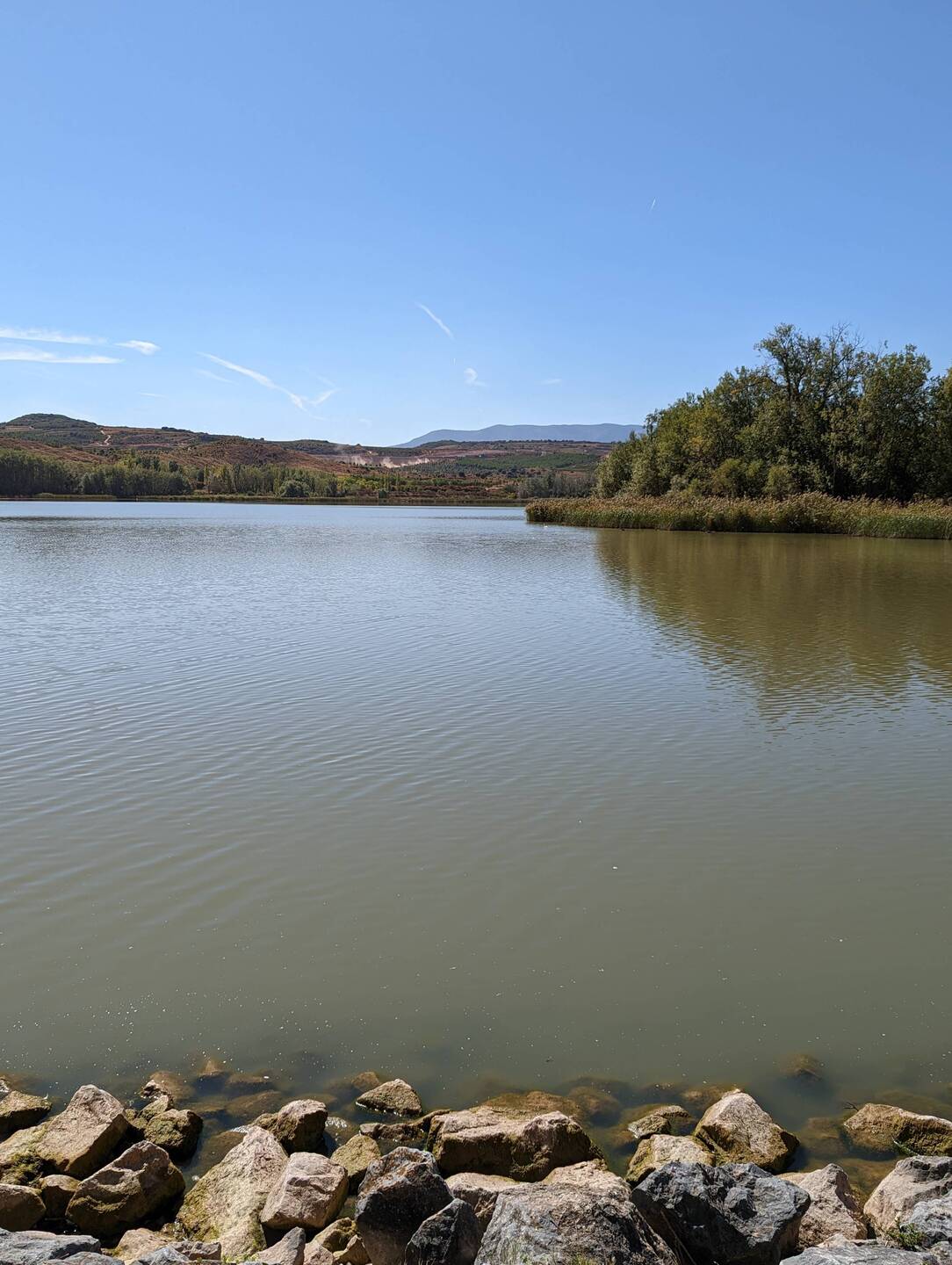 Beautiful lake past bird sanctuary