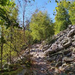 Auf dem Saar Hunsrück Steig