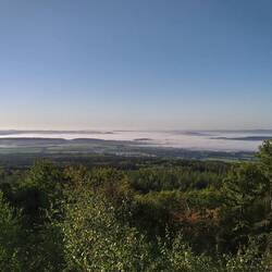 Morgen Nebel