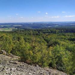 Blockhalde Mörschieder Burr