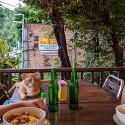 Besuch beim Abendessen