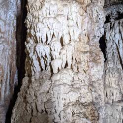 Elefanten in der Höhle