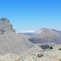 Admiring the view from the top