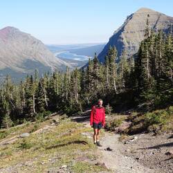 Heading into the trees