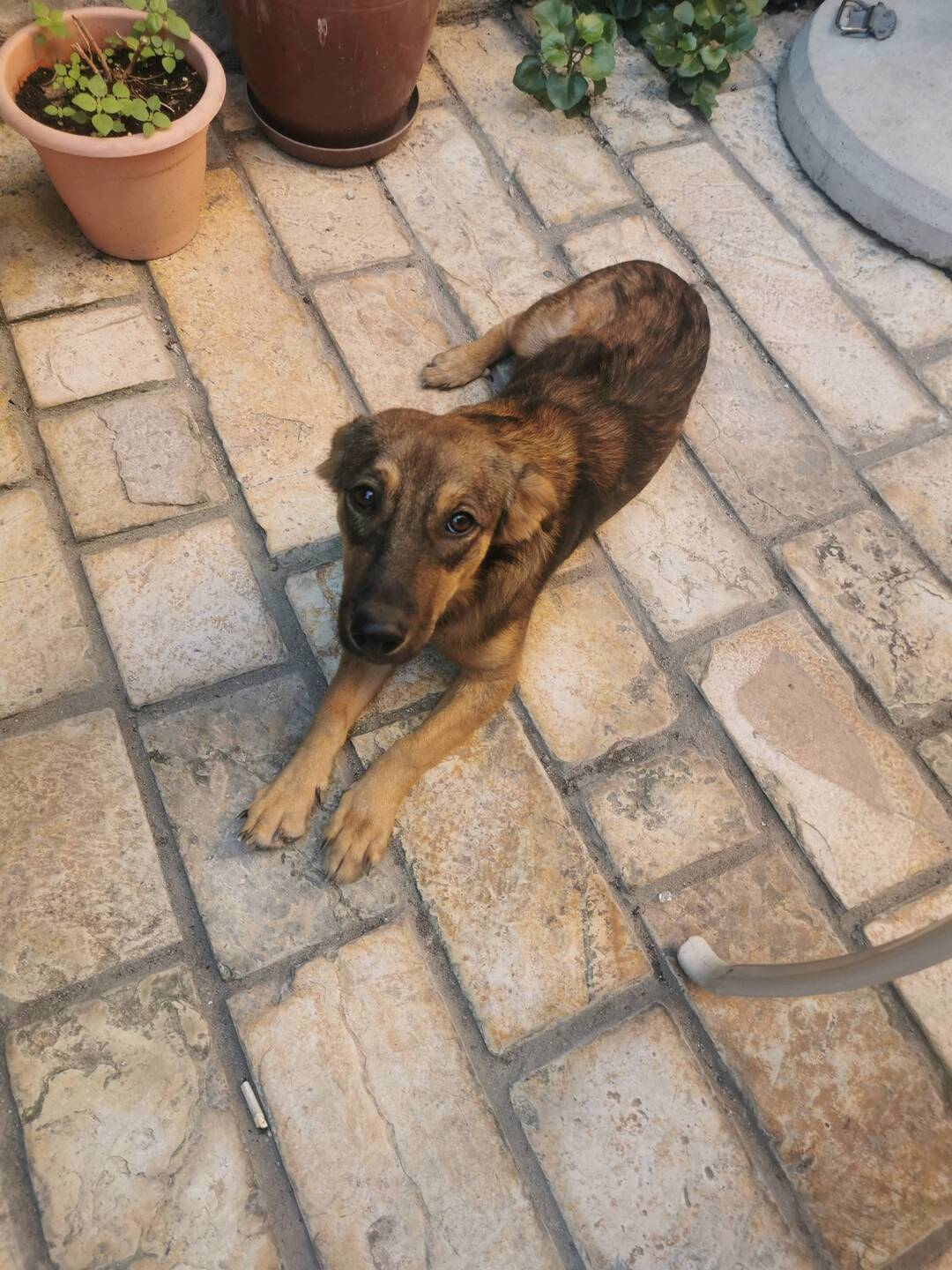 Gut auf die Mo's aufgepasst