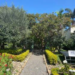 Haven i Nariños hus