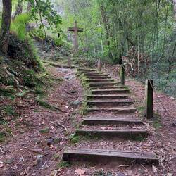 Steps on route to sanctuario de Guadelupe
