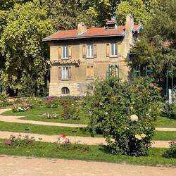 Beautiful rose garden