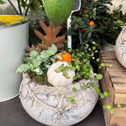 The florists here are divine