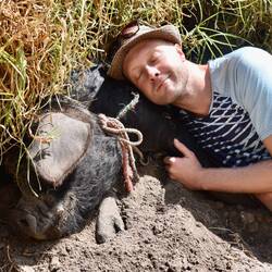 Knuddeln mit großem Schwein