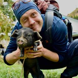 Knuddeln mit kleinem Schwein